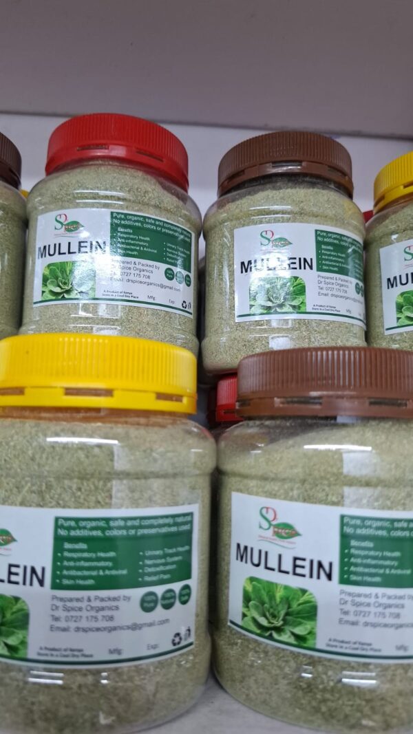 Mullein